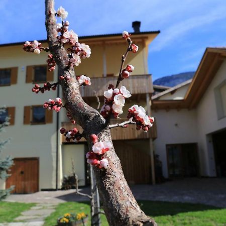 Апартаменты Ferienhof Weingenuss Cortina Sulla Strada del Vino Экстерьер фото