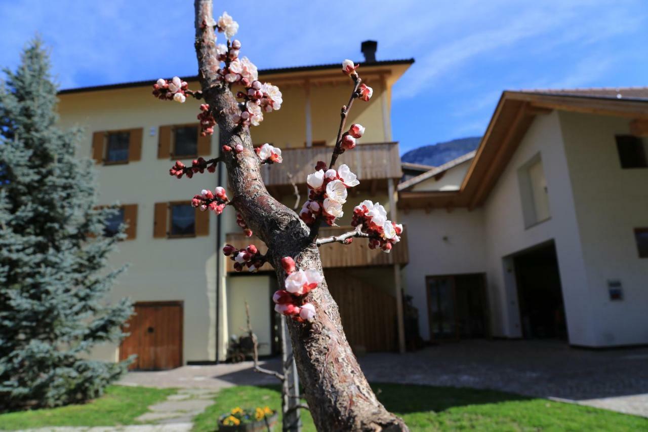 Апартаменты Ferienhof Weingenuss Cortina Sulla Strada del Vino Экстерьер фото